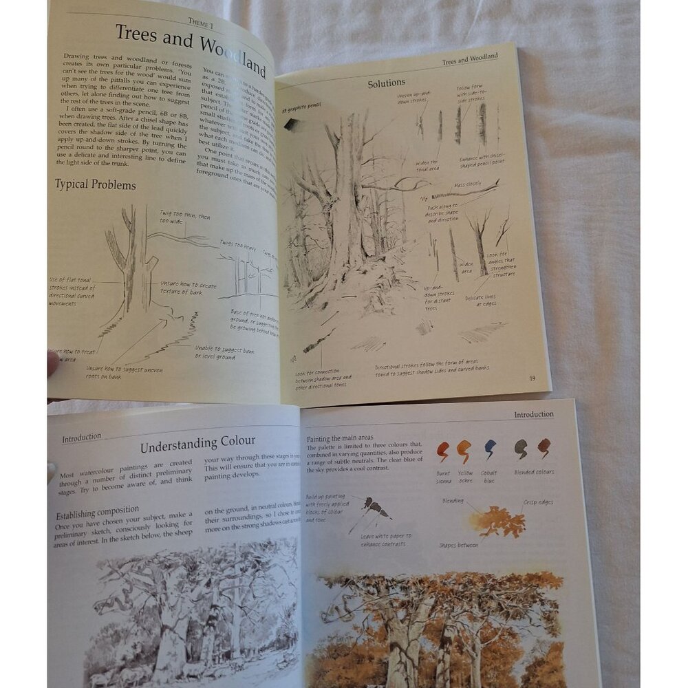 2 Trouble-Shooting Drawing & Watercolor Problems And Solutions By Trudy Friend - Picture 4 of 6